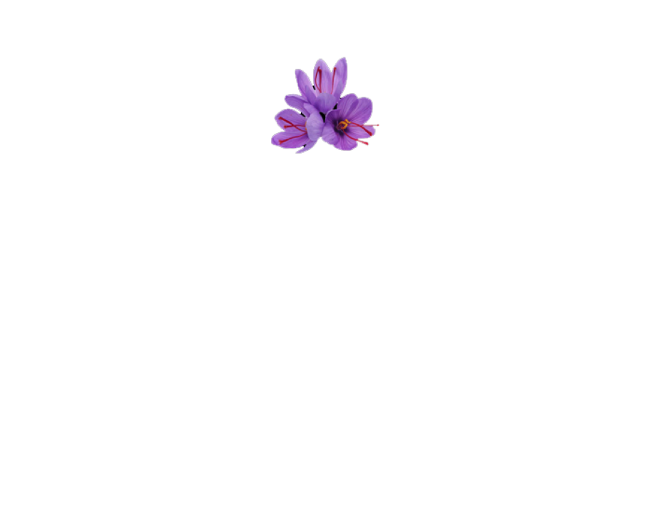 LOGO WHITE